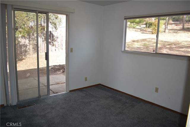 unfurnished room featuring carpet flooring and plenty of natural light