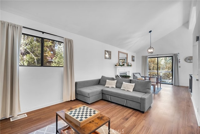 living room featuring hardwood / wood-style floors, a healthy amount of sunlight, and high vaulted ceiling