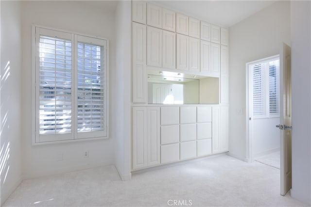 interior space with light carpet and a closet