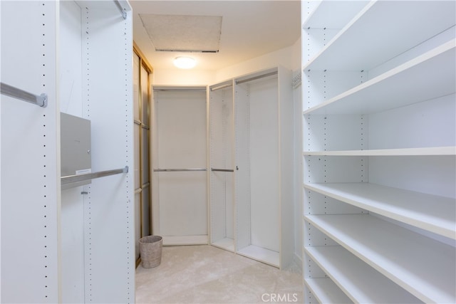 walk in closet featuring light carpet