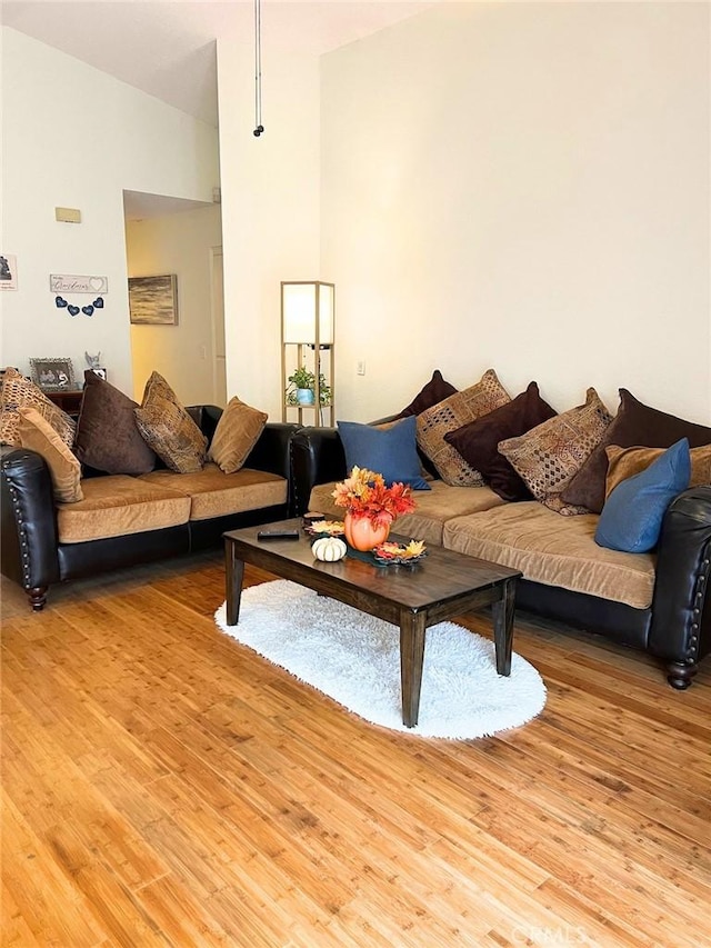 living room featuring hardwood / wood-style flooring