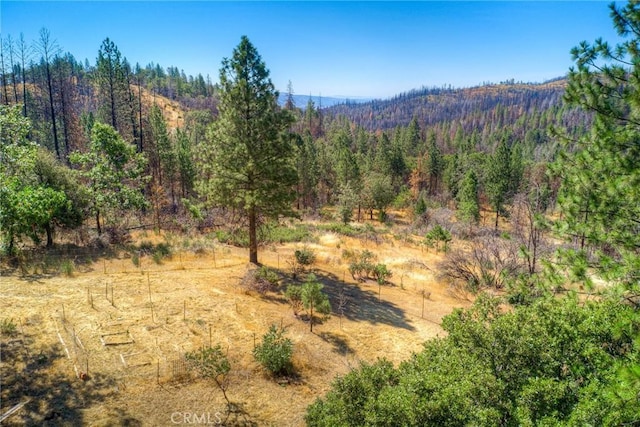 view of mountain feature featuring a rural view