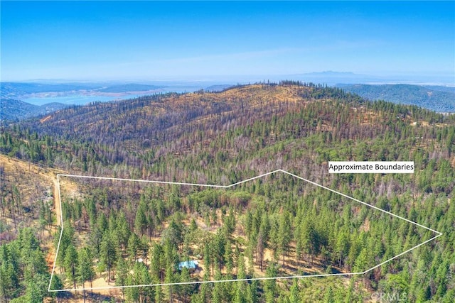 birds eye view of property with a mountain view