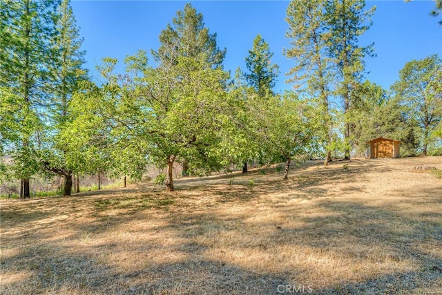 view of yard featuring a rural view