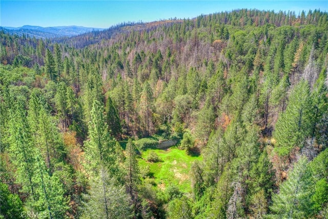 aerial view featuring a mountain view