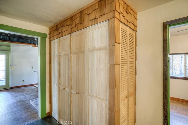 hall featuring dark wood-type flooring