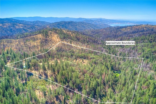 aerial view with a mountain view