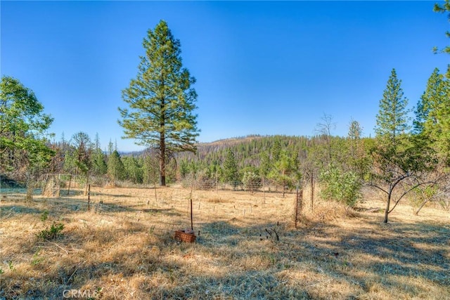 view of local wilderness with a rural view