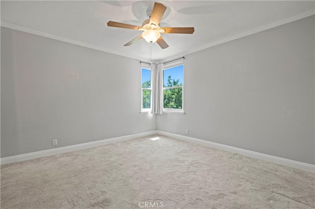 carpeted empty room with ceiling fan and ornamental molding