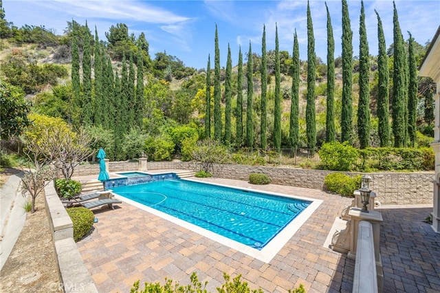 view of pool with a patio area