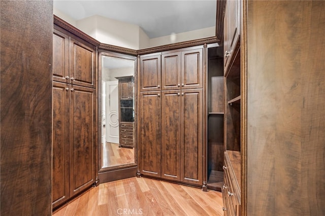 interior space featuring dark brown cabinets and light wood-type flooring