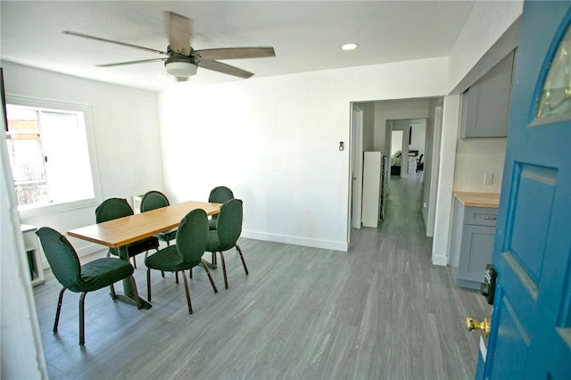 dining room with light hardwood / wood-style floors and ceiling fan