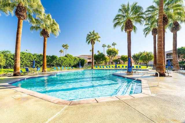 view of pool featuring a patio