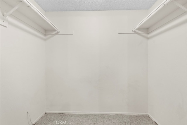 walk in closet featuring carpet floors