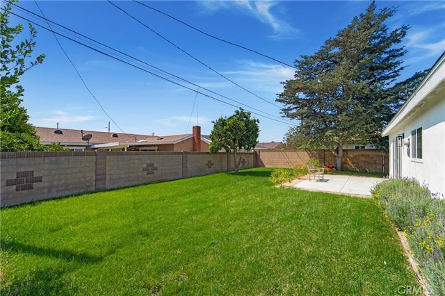 view of yard featuring a patio area