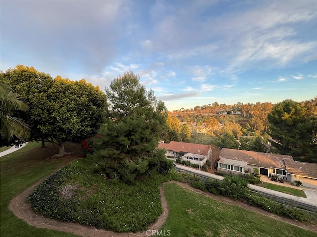 view of community featuring a lawn