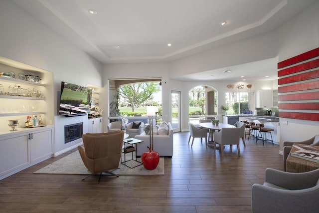 living room with dark hardwood / wood-style floors, a raised ceiling, and a healthy amount of sunlight