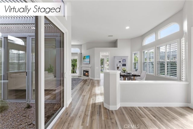 interior space featuring light hardwood / wood-style floors