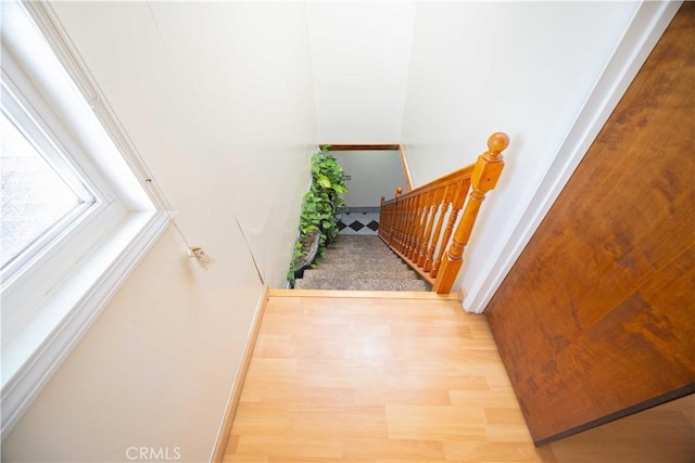 stairs with hardwood / wood-style floors