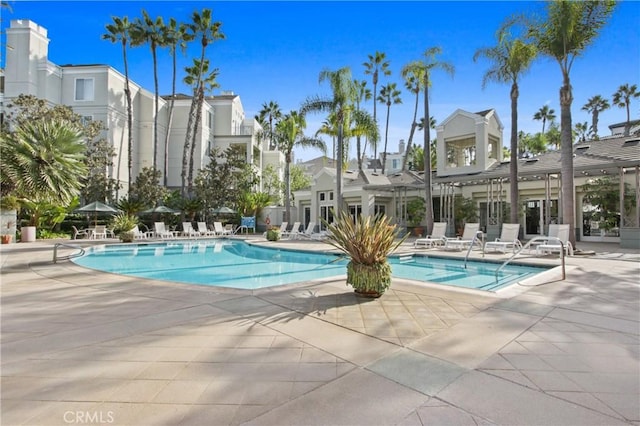 view of pool with a patio area