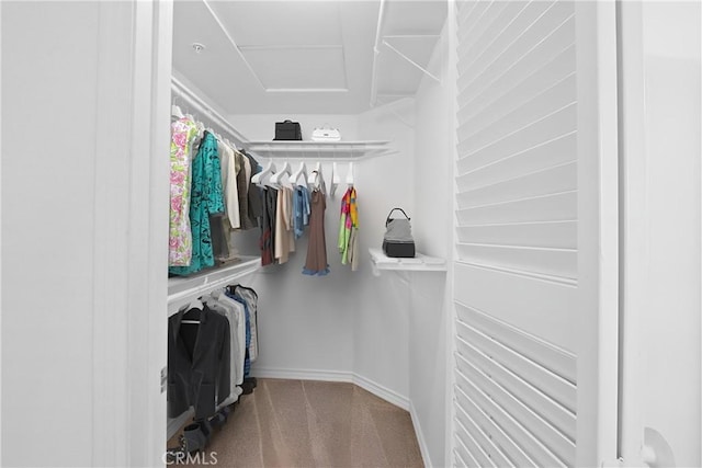 walk in closet featuring carpet