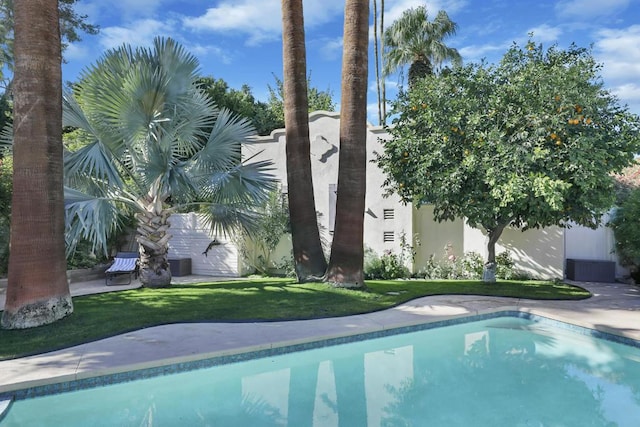 view of swimming pool with a yard