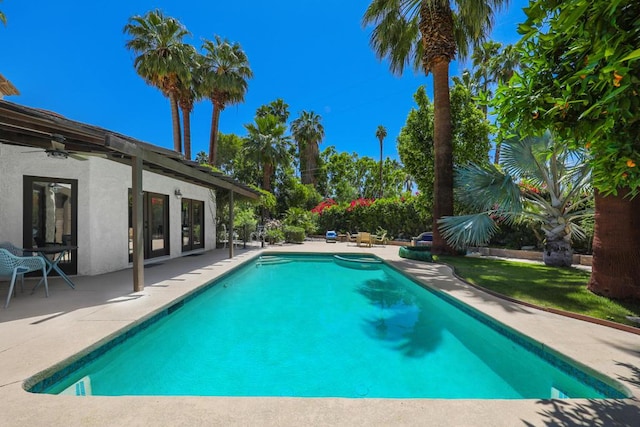 view of swimming pool with a patio