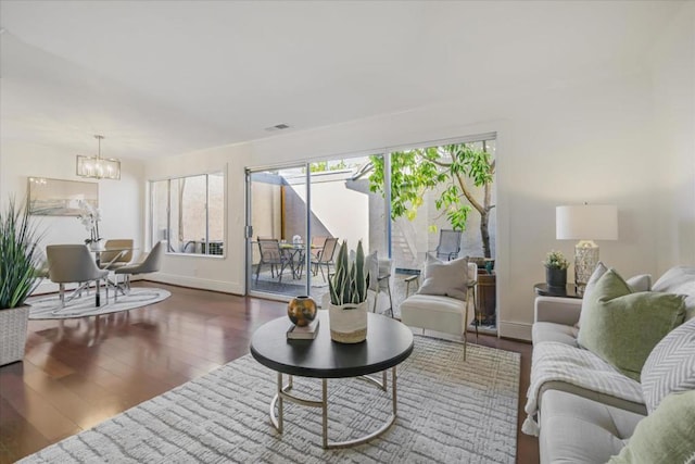 living room featuring a chandelier and dark wood-type flooring