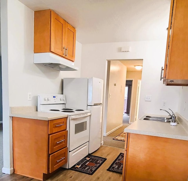 kitchen featuring hardwood / wood-style flooring, white electric stove, and sink