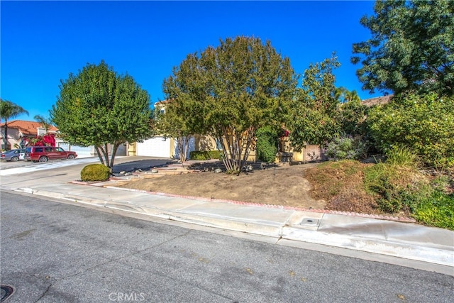 view of property hidden behind natural elements featuring a garage