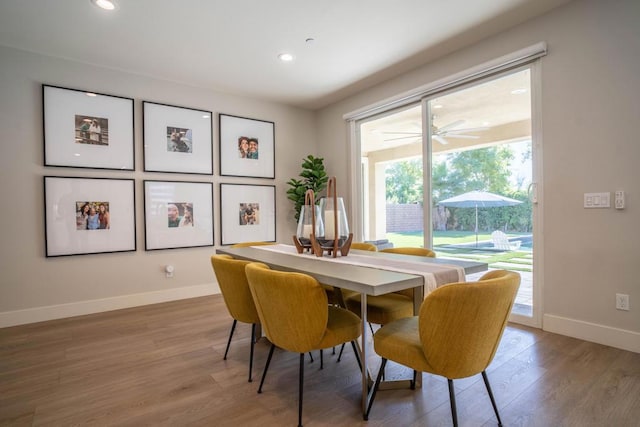 dining space featuring hardwood / wood-style flooring and ceiling fan