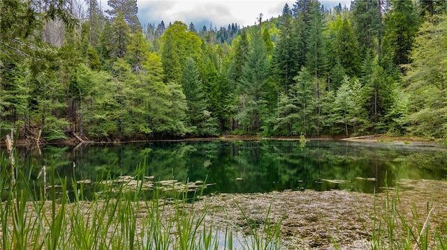 view of local wilderness featuring a water view