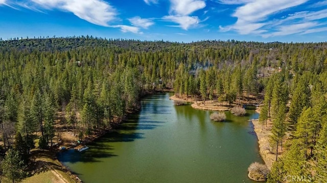birds eye view of property with a forest view and a water view