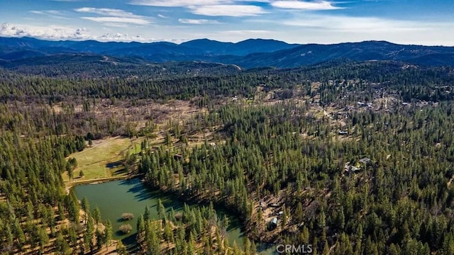 drone / aerial view with a forest view and a water and mountain view