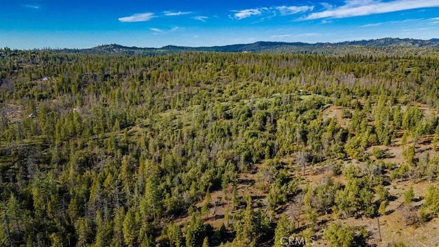 drone / aerial view featuring a mountain view