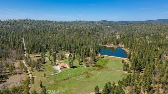 birds eye view of property featuring a wooded view and a water view