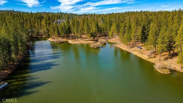 aerial view with a view of trees and a water view