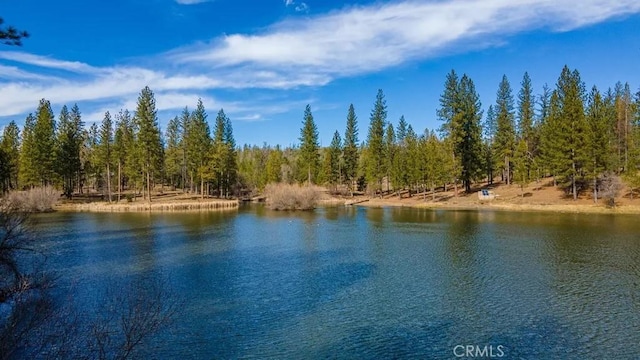 property view of water with a view of trees