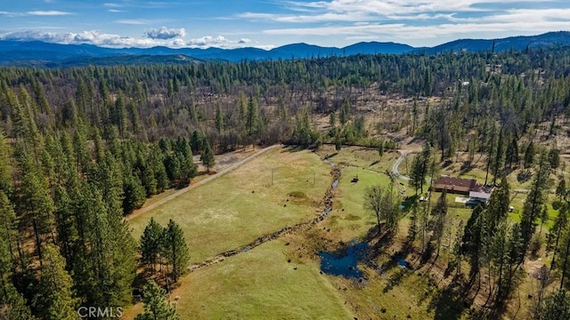 birds eye view of property featuring a mountain view