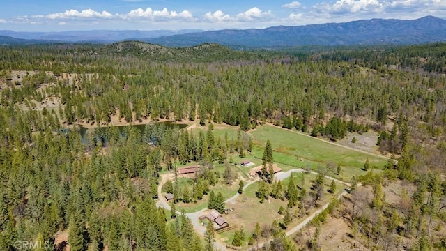 drone / aerial view featuring a mountain view