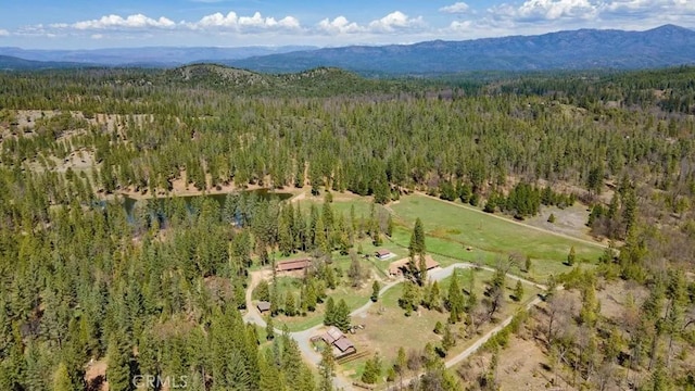 birds eye view of property featuring a wooded view and a mountain view