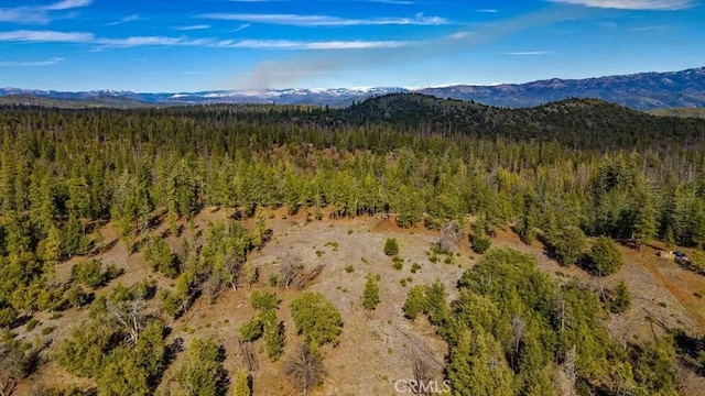 view of mountain feature featuring a wooded view
