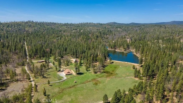 birds eye view of property featuring a view of trees and a water view