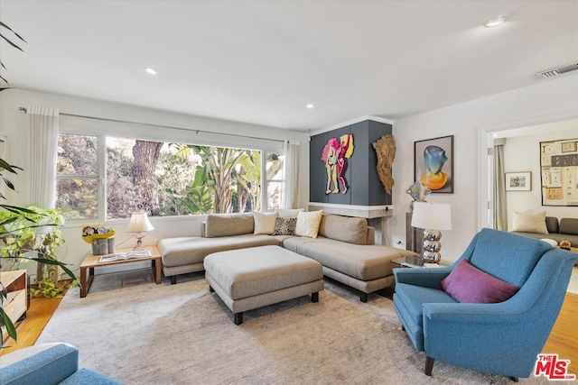 living room featuring light hardwood / wood-style flooring