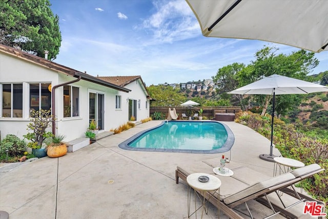 view of swimming pool featuring a patio