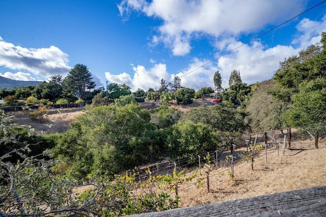 view of nature featuring a rural view