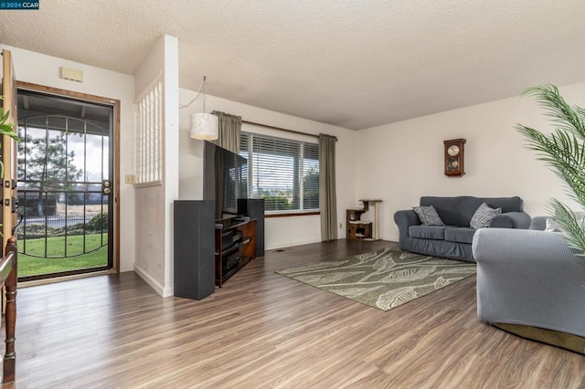 living room featuring a textured ceiling and hardwood / wood-style flooring