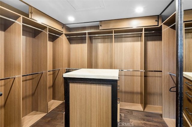 walk in closet featuring dark hardwood / wood-style floors