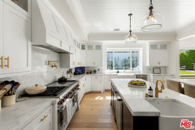 kitchen with white cabinets, light hardwood / wood-style flooring, and a healthy amount of sunlight