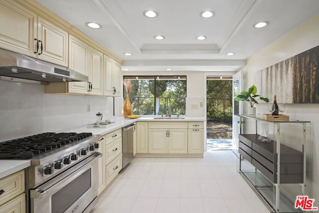 kitchen featuring cream cabinets, sink, ornamental molding, appliances with stainless steel finishes, and a tray ceiling